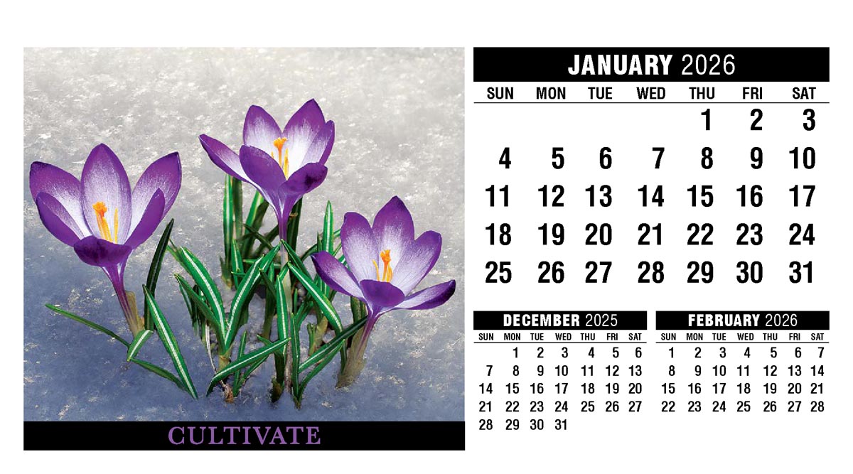Galleria Motivation Promotional Desk Calendar - 2026